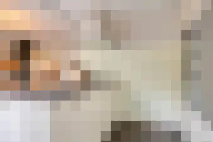 Grote Dries 37 Bavel thumbnail 14