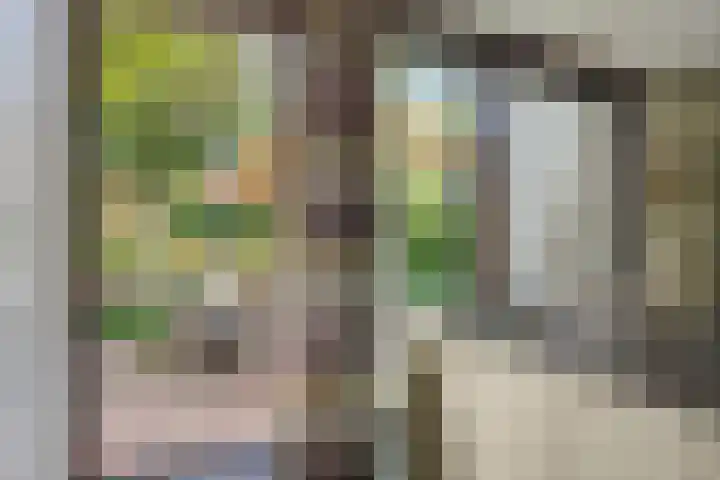 Grote Dries 37 Bavel thumbnail 16
