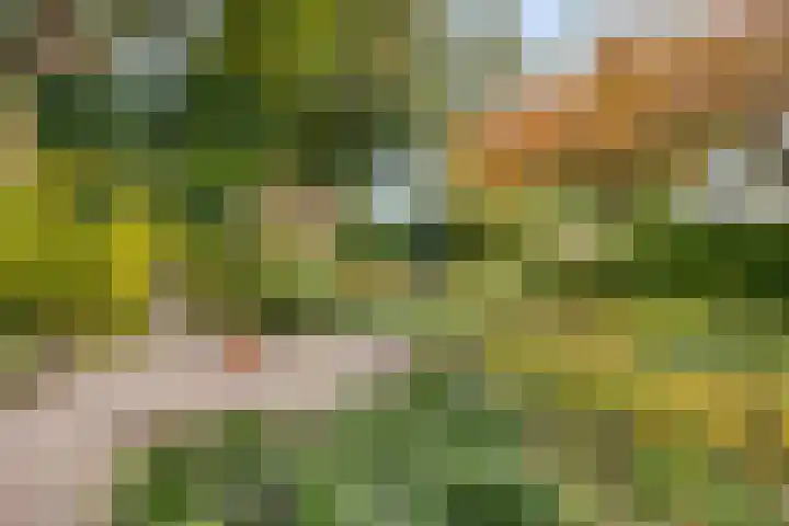 Grote Dries 37 Bavel thumbnail 20