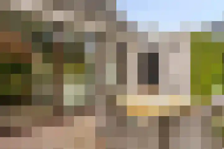 Grote Dries 37 Bavel thumbnail 21