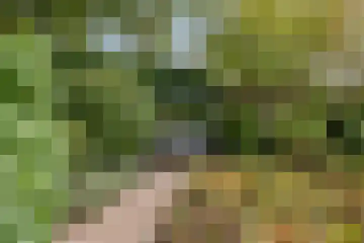 Grote Dries 37 Bavel thumbnail 23