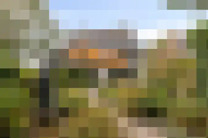 Grote Dries 37 Bavel thumbnail 24