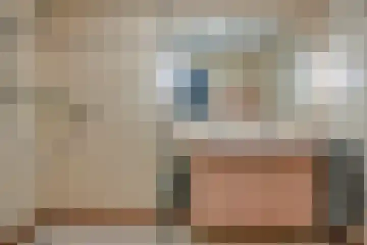 Grote Dries 37 Bavel thumbnail 30