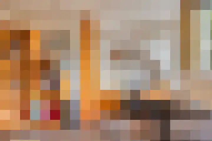 Grote Dries 37 Bavel thumbnail 32