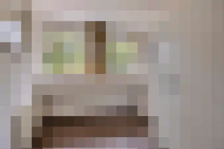 Grote Dries 37 Bavel thumbnail 34