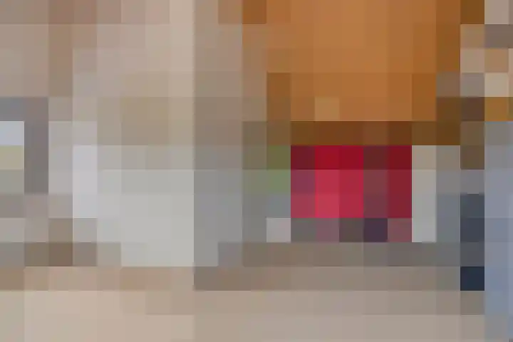 Grote Dries 37 Bavel thumbnail 40