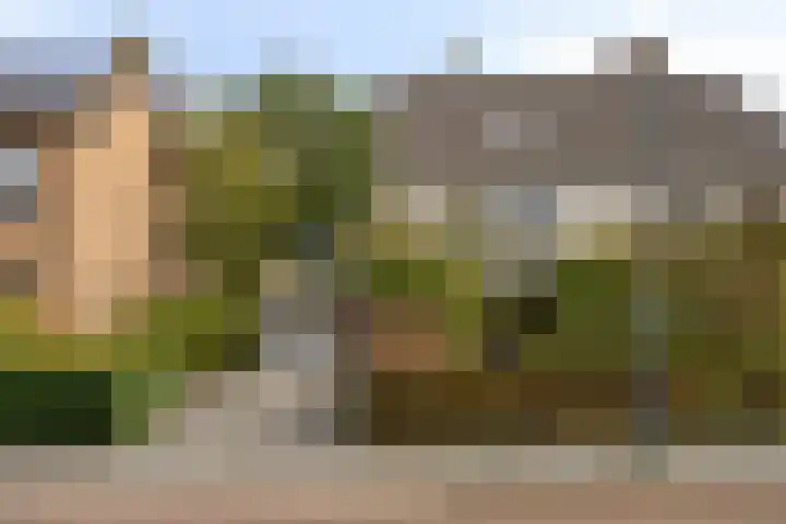 Grote Dries 37 Bavel thumbnail 42