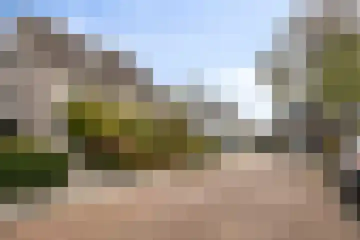 Grote Dries 37 Bavel thumbnail 43
