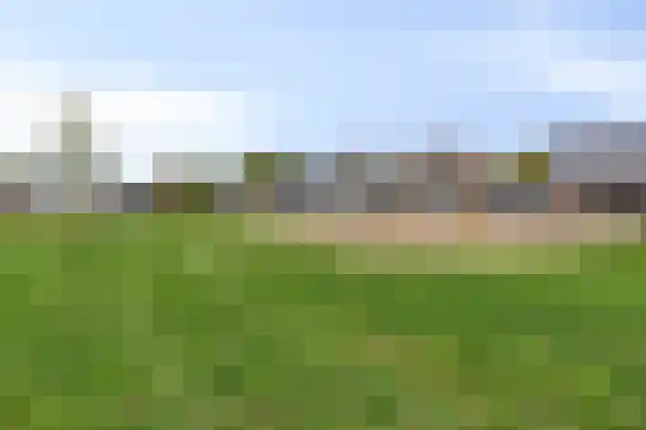 Grote Dries 37 Bavel thumbnail 44