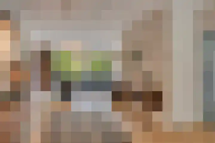 Grote Dries 37 Bavel thumbnail 5