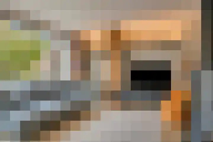Grote Dries 37 Bavel thumbnail 6