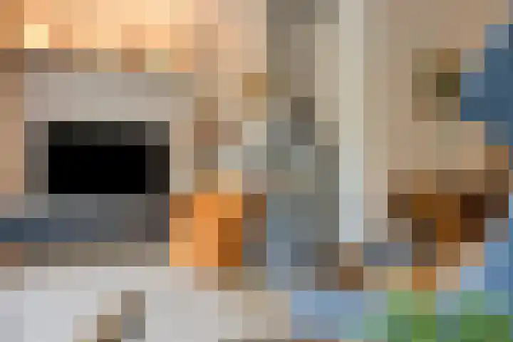 Grote Dries 37 Bavel thumbnail 7