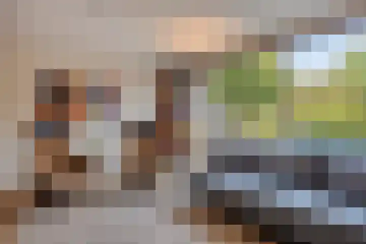 Grote Dries 37 Bavel thumbnail 8