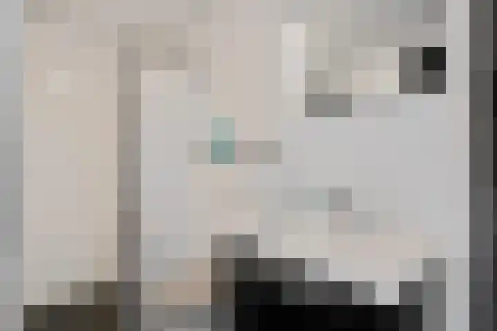 Grote Drift 71 Beilen thumbnail 17