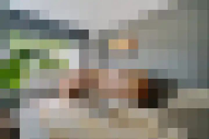 Grote Drift 71 Beilen foto 2