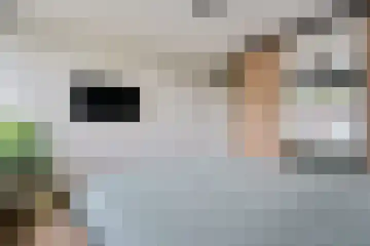 Grote Drift 71 Beilen thumbnail 22