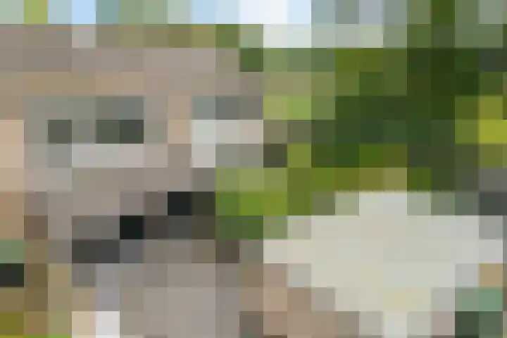 Grote Drift 71 Beilen thumbnail 32
