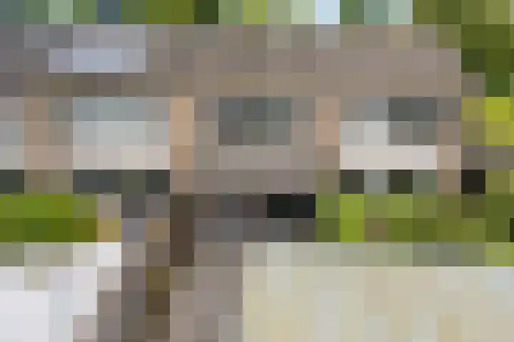 Grote Drift 71 Beilen thumbnail 33