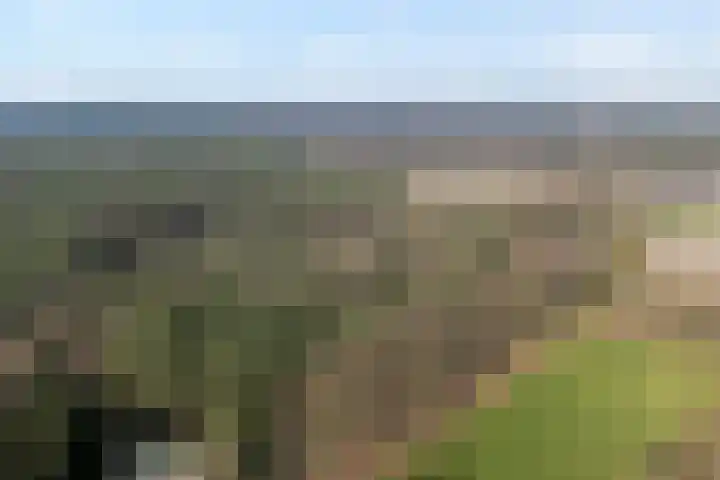 Grote Esweg 8 a Diffelen thumbnail 11