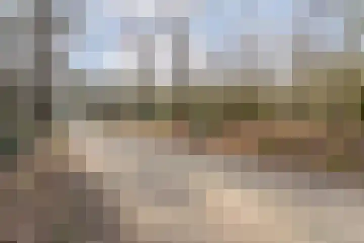Grote Esweg 8 a Diffelen thumbnail 13