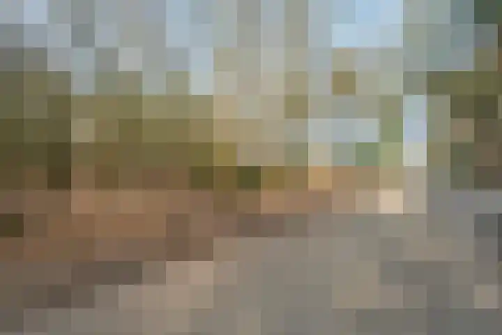 Grote Esweg 8 a Diffelen thumbnail 14