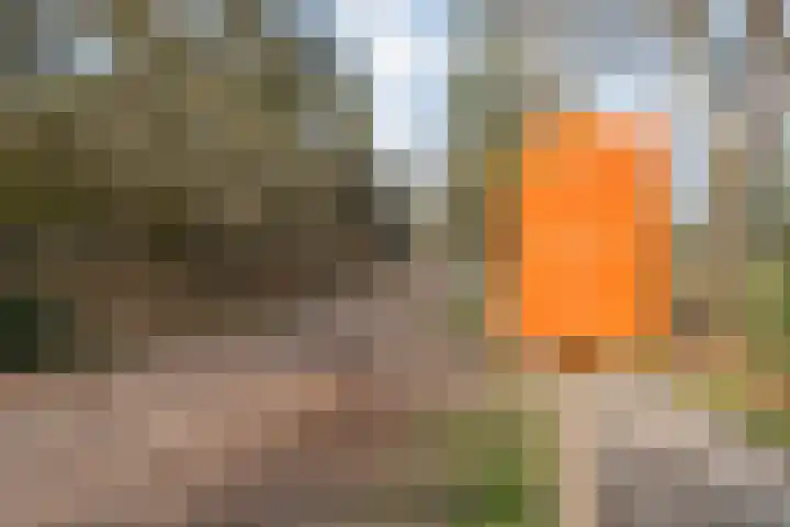 Grote Esweg 8 a Diffelen thumbnail 15