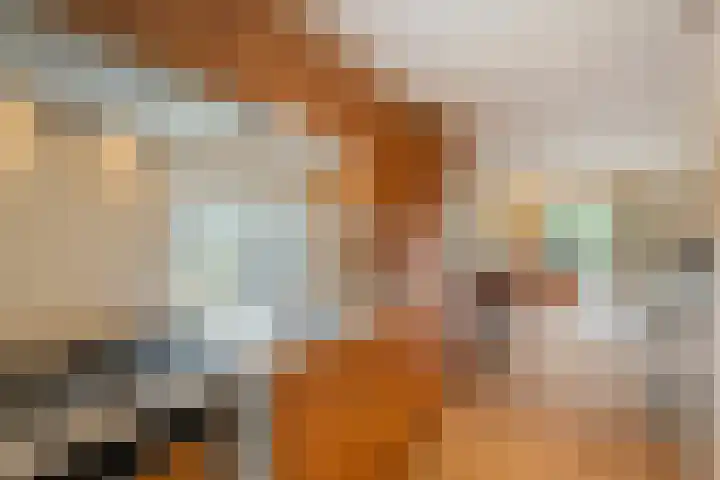 Grote Esweg 8 a Diffelen thumbnail 24