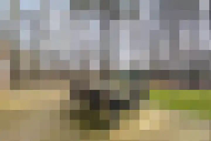 Grote Esweg 8 a Diffelen thumbnail 32