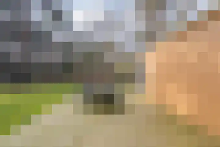 Grote Esweg 8 a Diffelen thumbnail 33