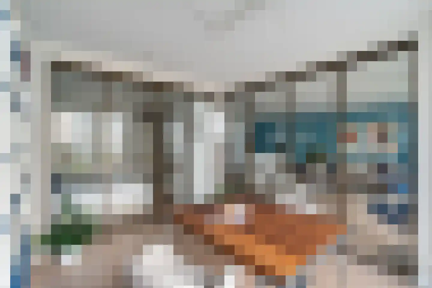Grote Esweg 8 a Diffelen thumbnail 36