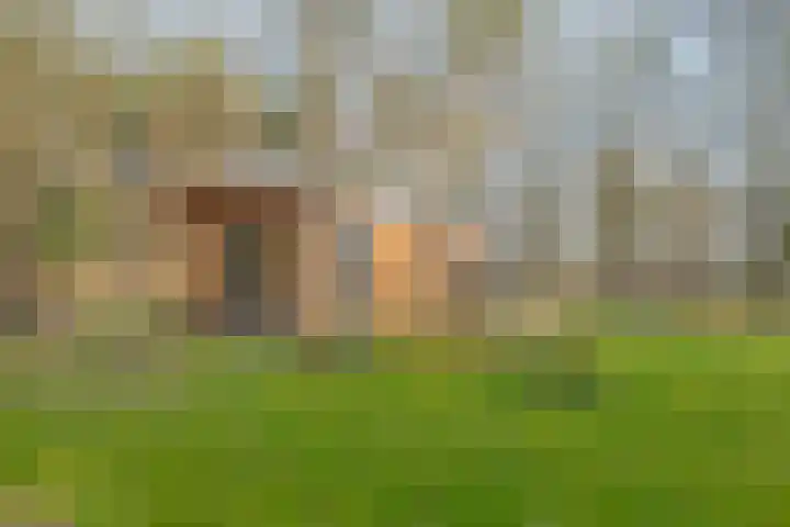 Grote Esweg 8 a Diffelen thumbnail 36