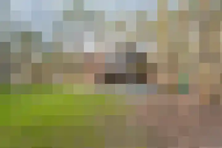 Grote Esweg 8 a Diffelen thumbnail 40