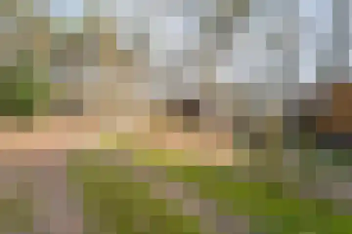 Grote Esweg 8 a Diffelen thumbnail 41