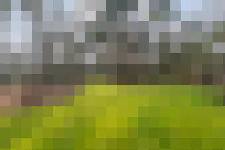 Grote Esweg 8 a Diffelen thumbnail 43