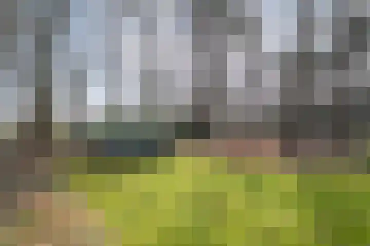 Grote Esweg 8 a Diffelen thumbnail 44