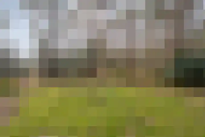 Grote Esweg 8 a Diffelen thumbnail 45