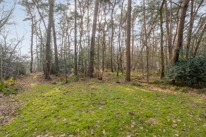 Grote Esweg 8 a Diffelen thumbnail 45