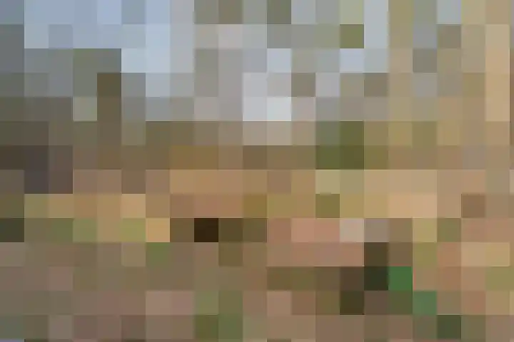 Grote Esweg 8 a Diffelen thumbnail 47
