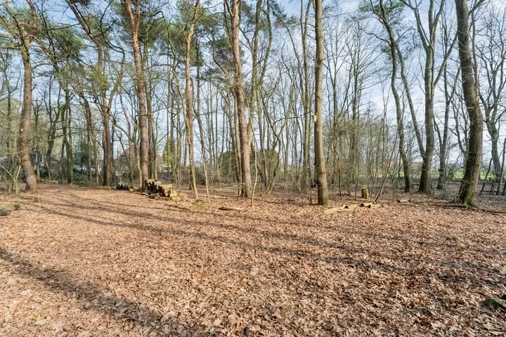 Grote Esweg 8 a Diffelen thumbnail 48
