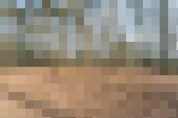 Grote Esweg 8 a Diffelen thumbnail 48