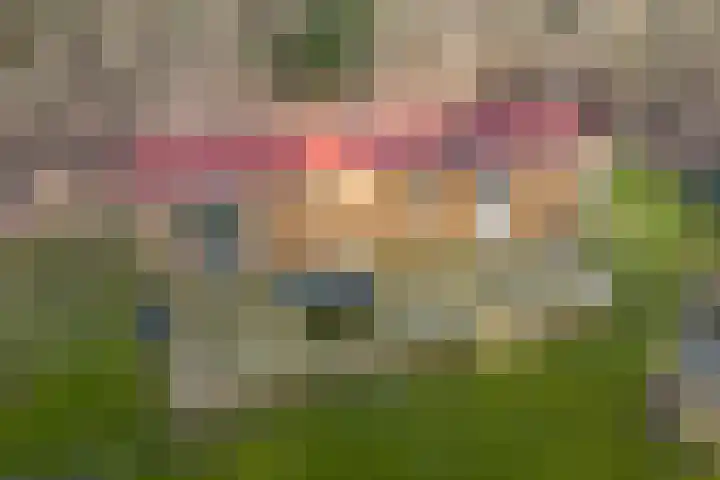 Grote Esweg 8 a Diffelen thumbnail 5