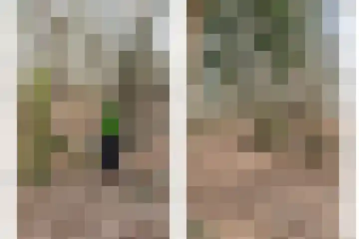 Grote Esweg 8 a Diffelen thumbnail 50