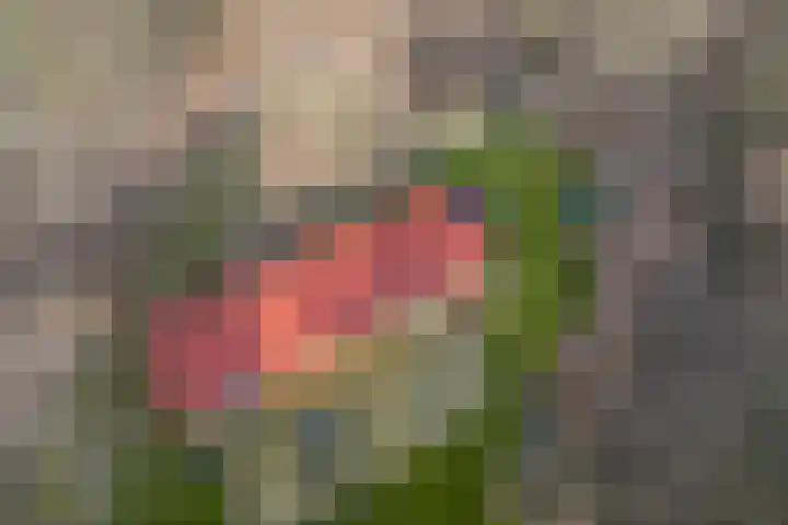 Grote Esweg 8 a Diffelen thumbnail 6