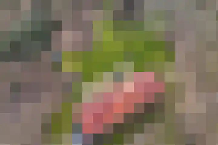 Grote Esweg 8 a Diffelen thumbnail 7