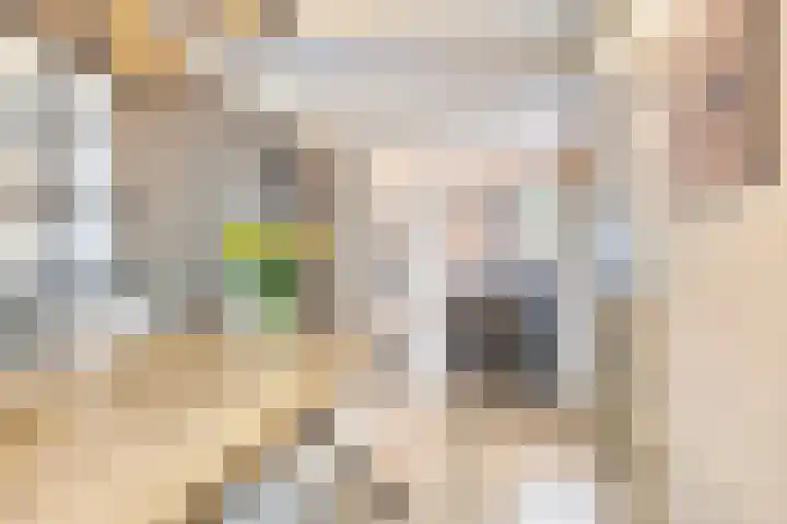 Grote Esweg 8 a Diffelen thumbnail 8