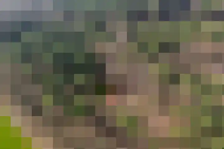Grote Esweg 8 a Diffelen thumbnail 9