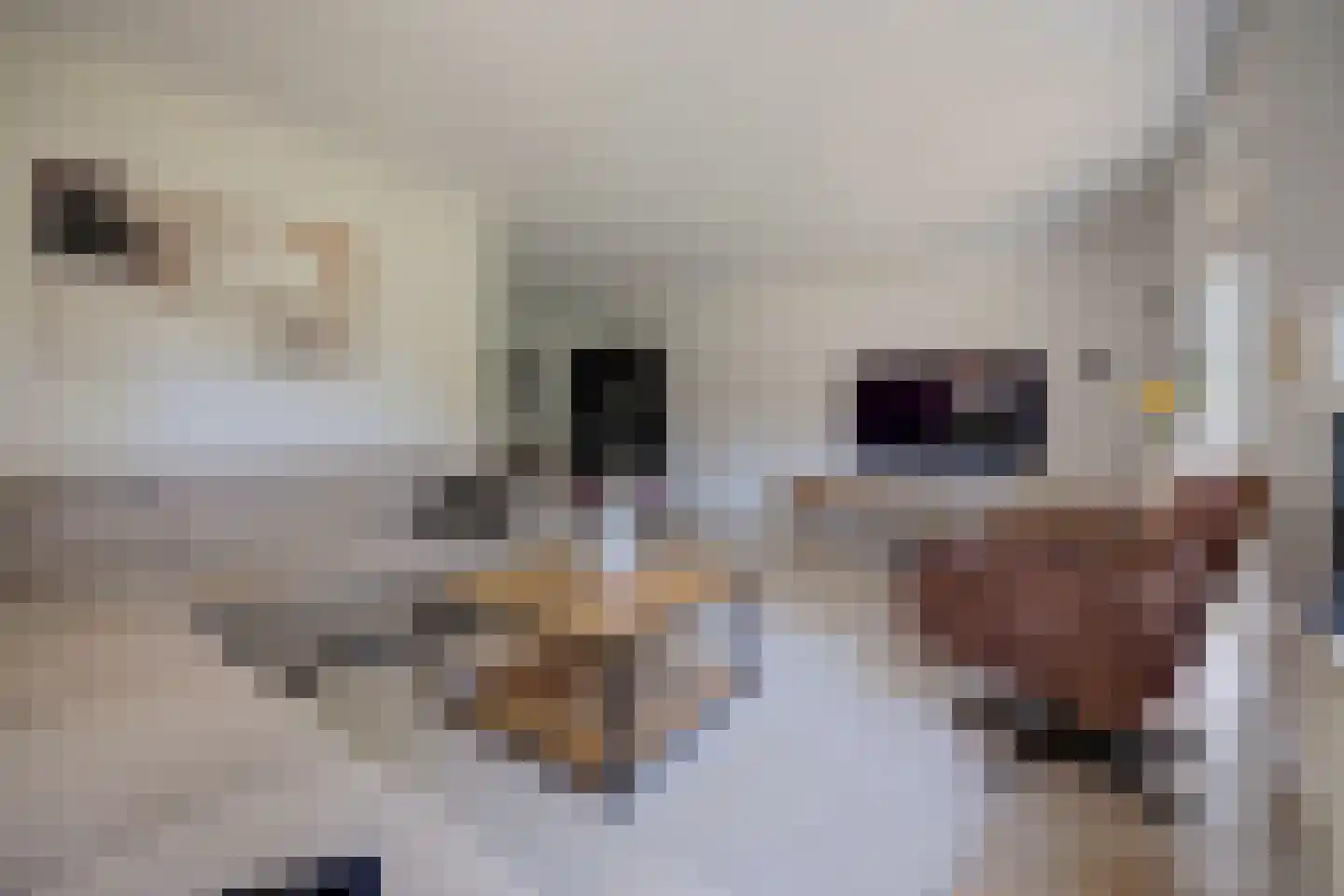 Grote Geer 1 Haalderen thumbnail 13