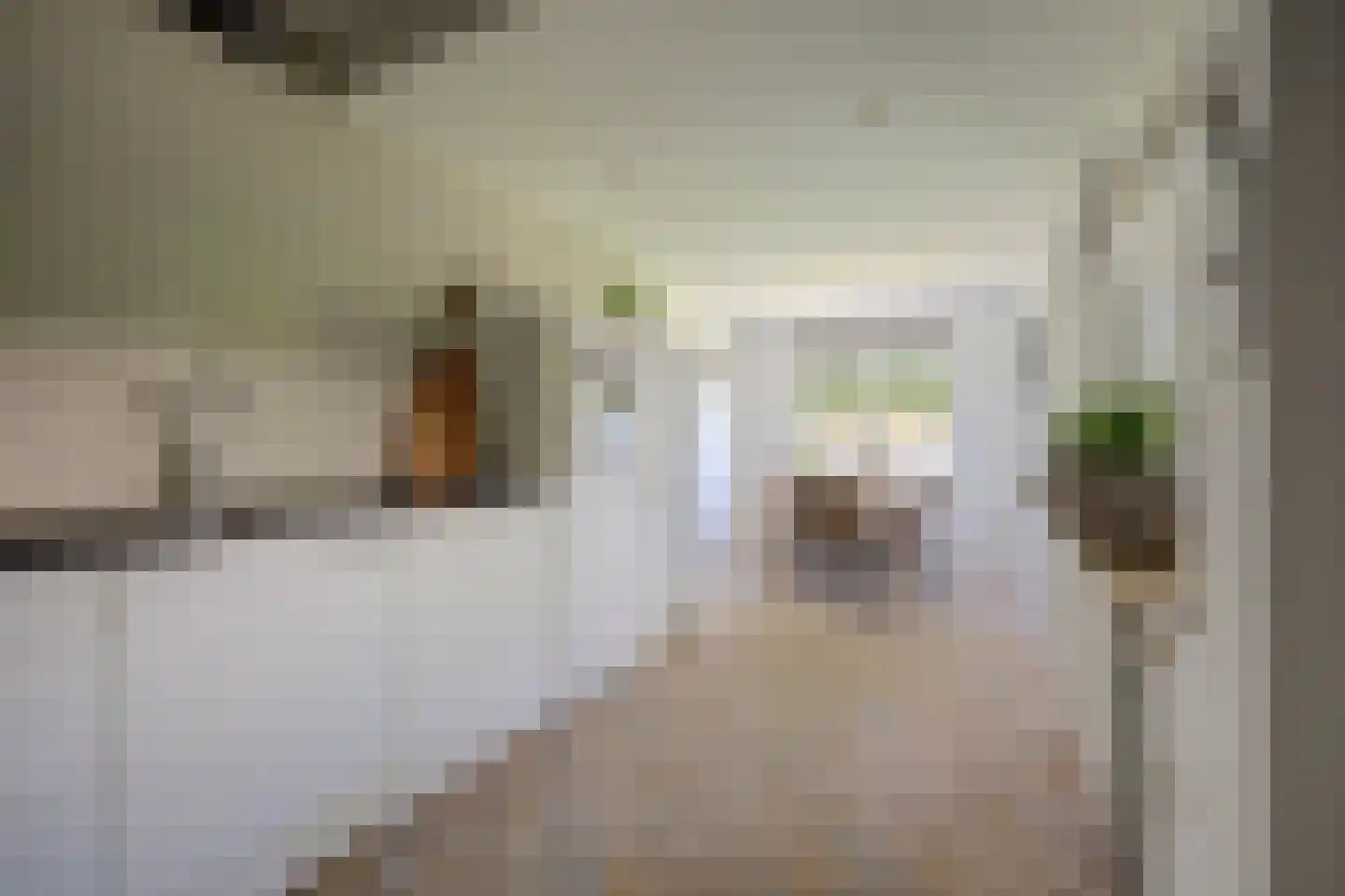 Grote Geer 1 Haalderen thumbnail 17