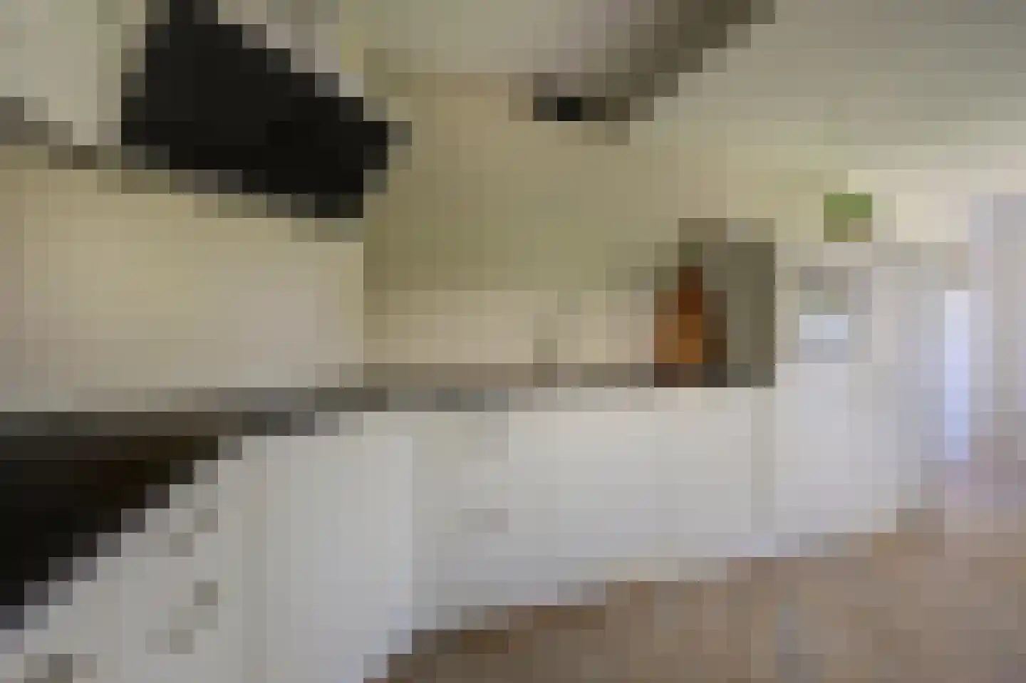 Grote Geer 1 Haalderen thumbnail 18