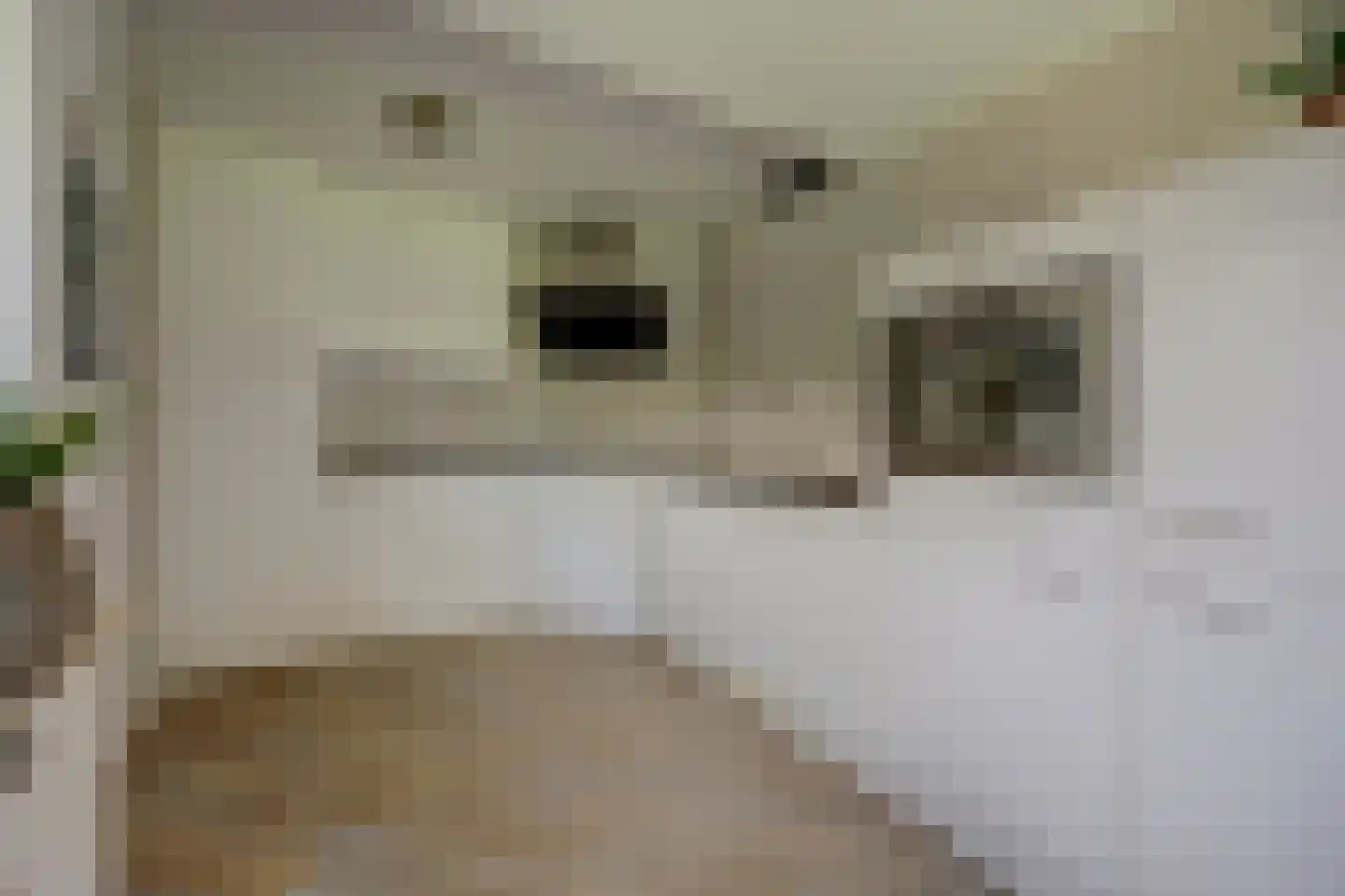 Grote Geer 1 Haalderen foto 2